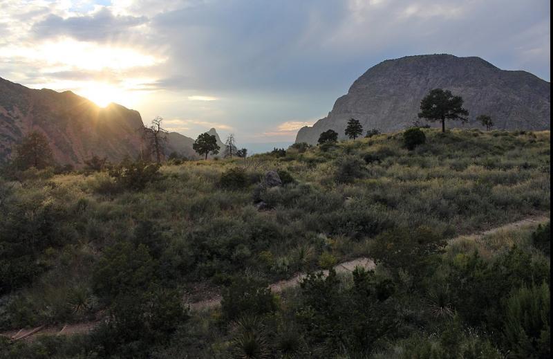Chisos Mountains Lodge Big Bend National Park Exterior foto